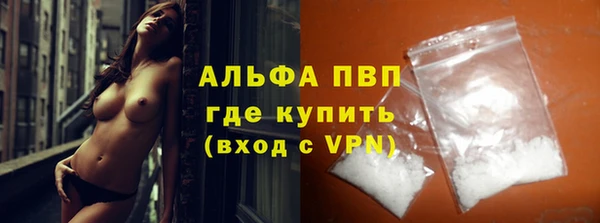 прущие грибы Сафоново