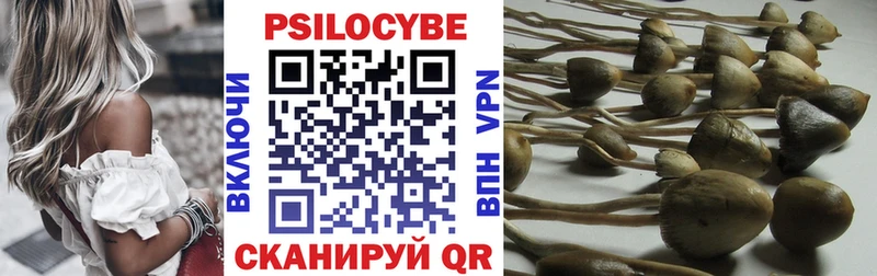 где купить наркотик  ссылка на мегу сайт  Псилоцибиновые грибы Magic Shrooms  Абаза 
